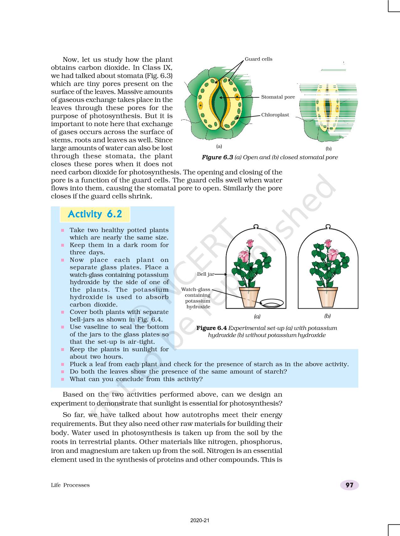 Life processes ncert book of class 10 science